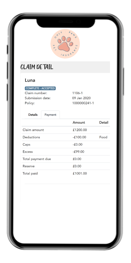 View claim payment details